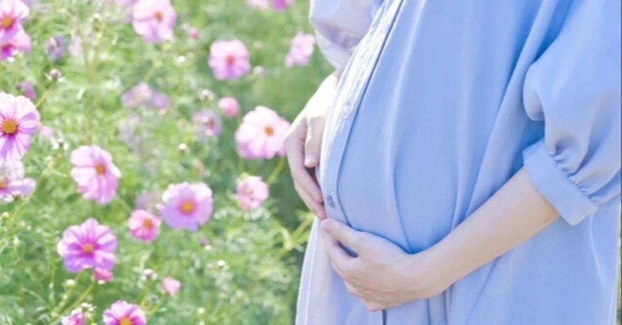 【2025年版】妊娠・出産・育児に関する制度のご案内